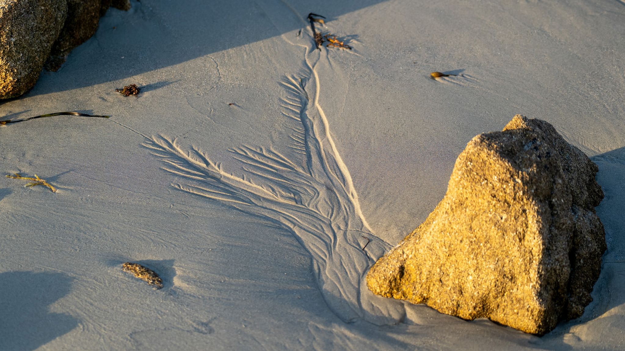 20250920 192355 Carnac   17, Boulevard de Légenèse, Legenese